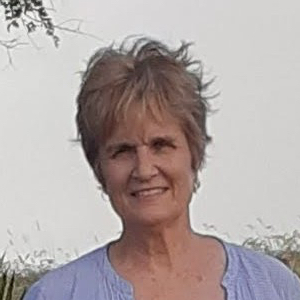 Dana B. Foster, Licensed Clinical Mental Health Counselor (LCMHC)
